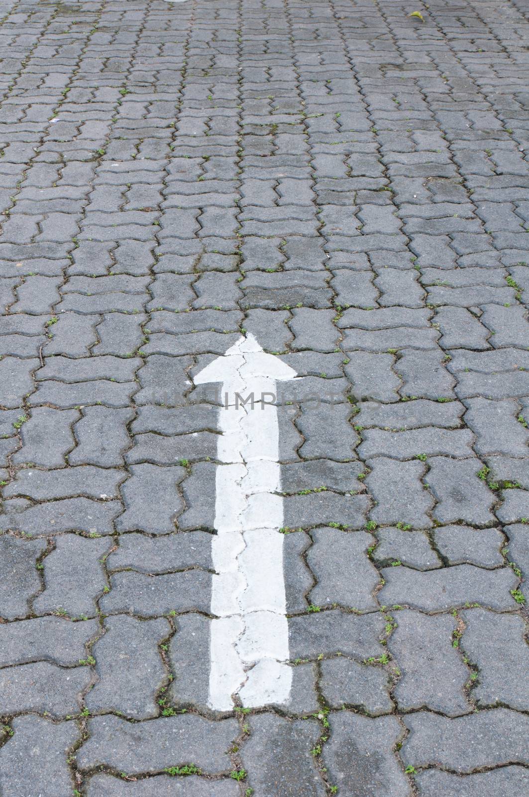 a white arrow marking on the road