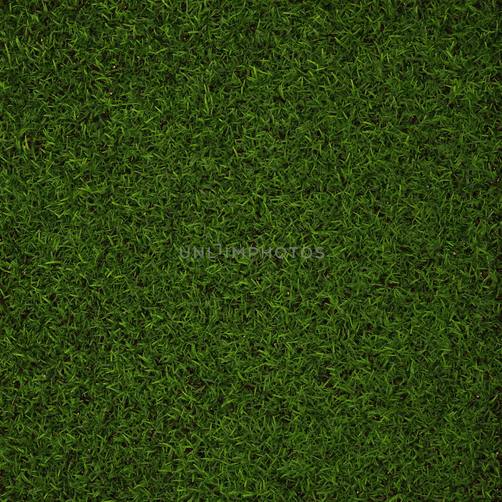 Green grass  by vitanovski