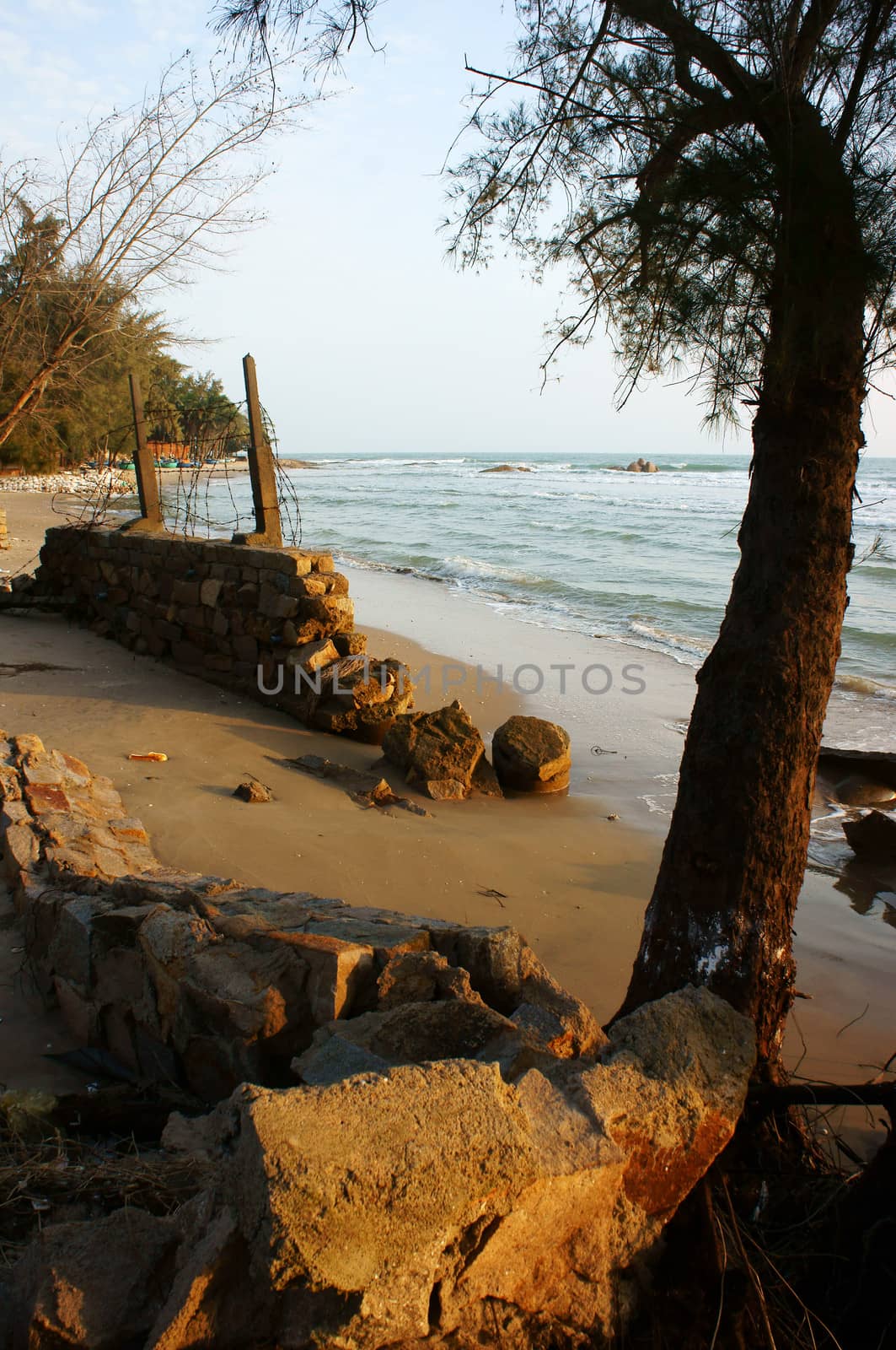 Erosion at seaside, tree with roof, wave destroy seawall, effect of climate change, this is global environment problem in future