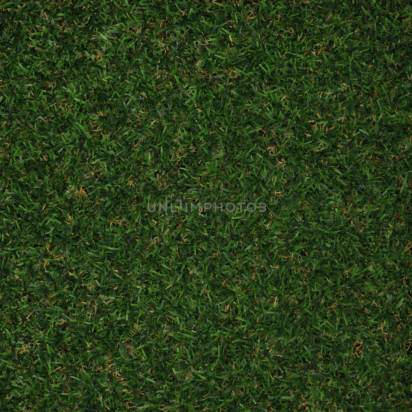 Green grass by vitanovski