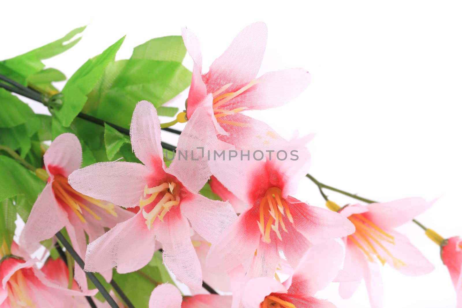 Pink artificial flowers. On a white background.