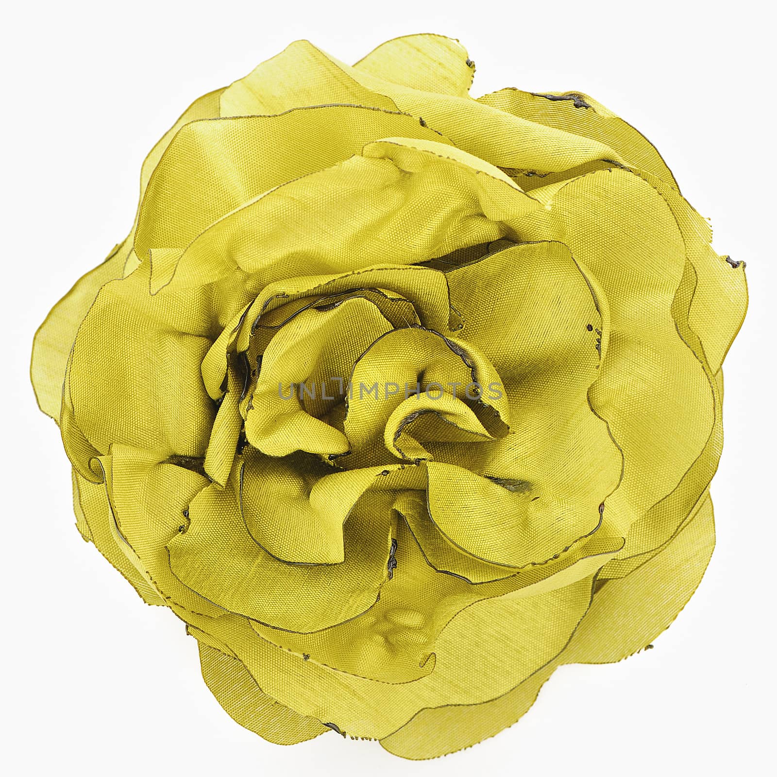 Artificial yellow flower of silk isolated on white background