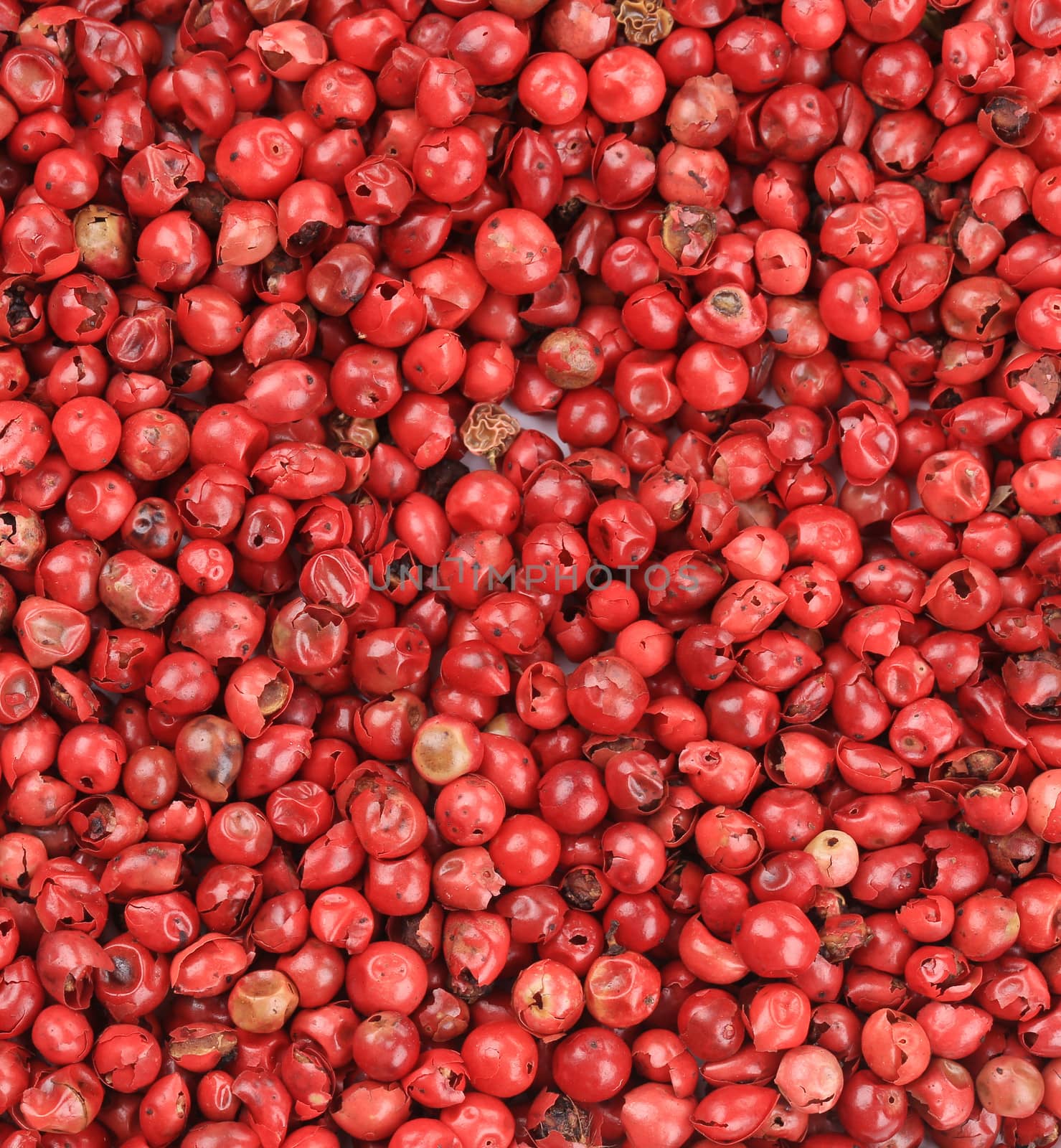 Spicy red chili pepper texture. Whole background.