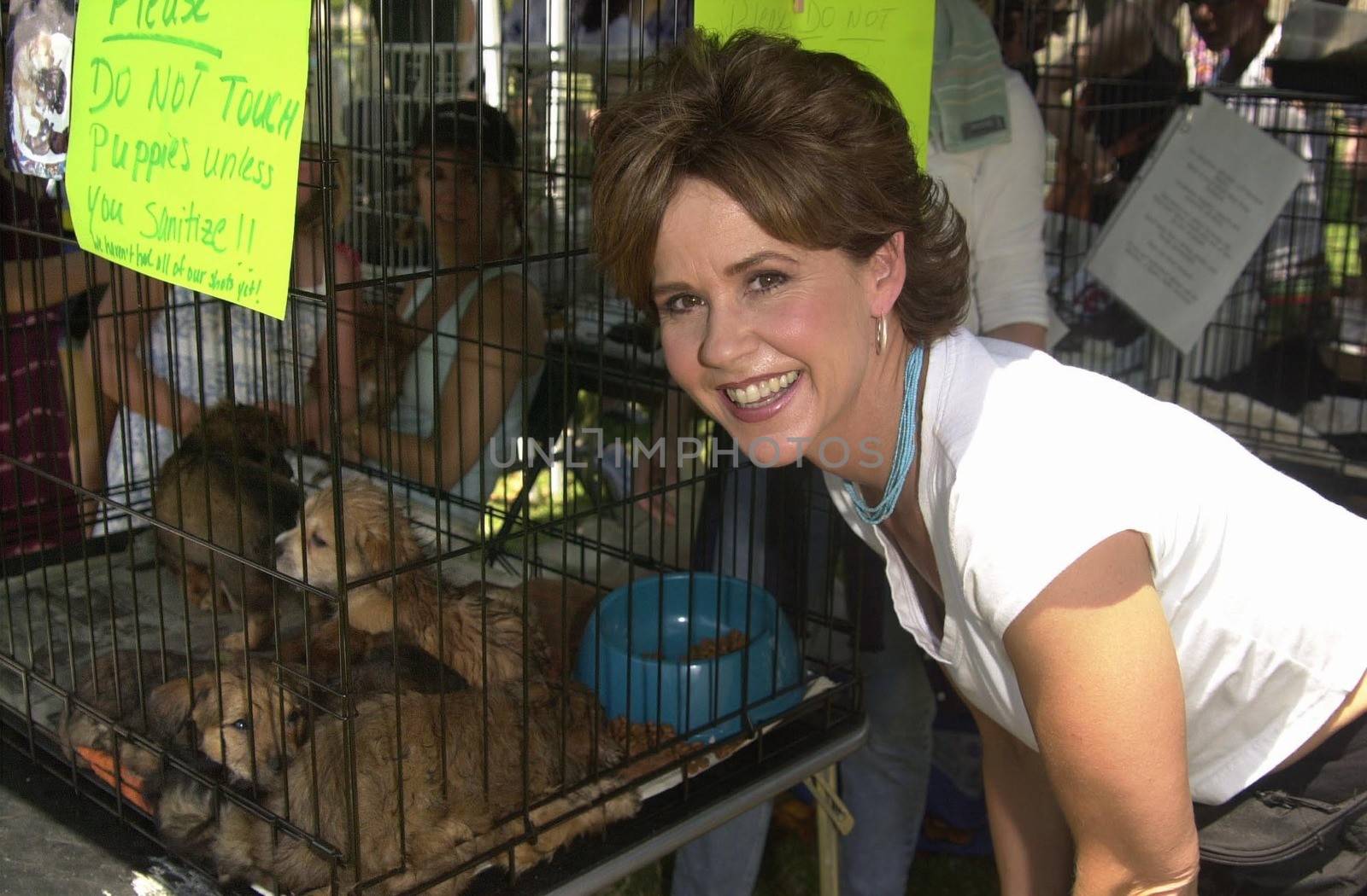 Linda Blair at Worldfest LA to help promote Veganism, Animal Rights and other causes. Van Nuys 07-30-00