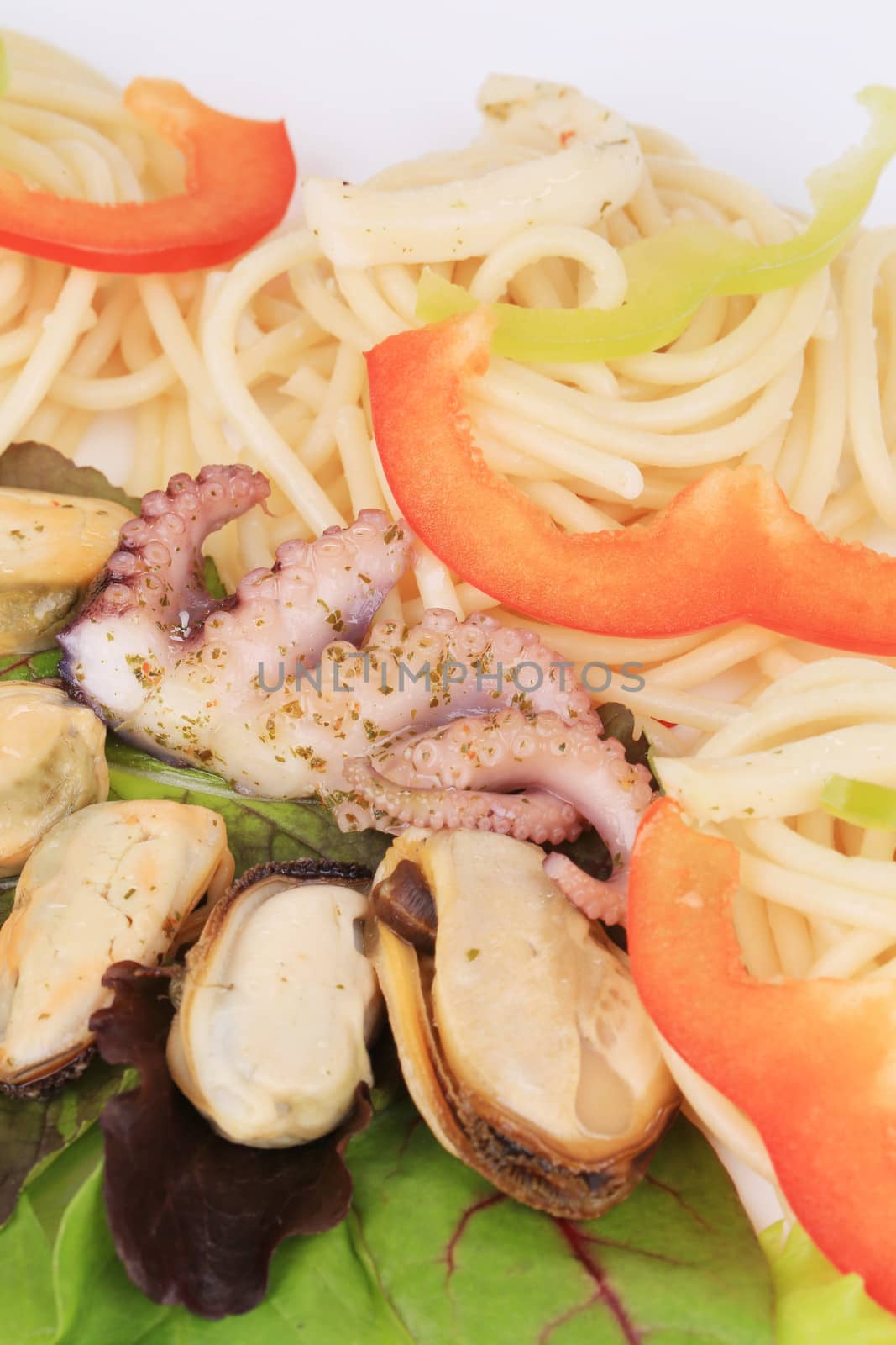 Sea salad with spaghetti. Located on the whole background.