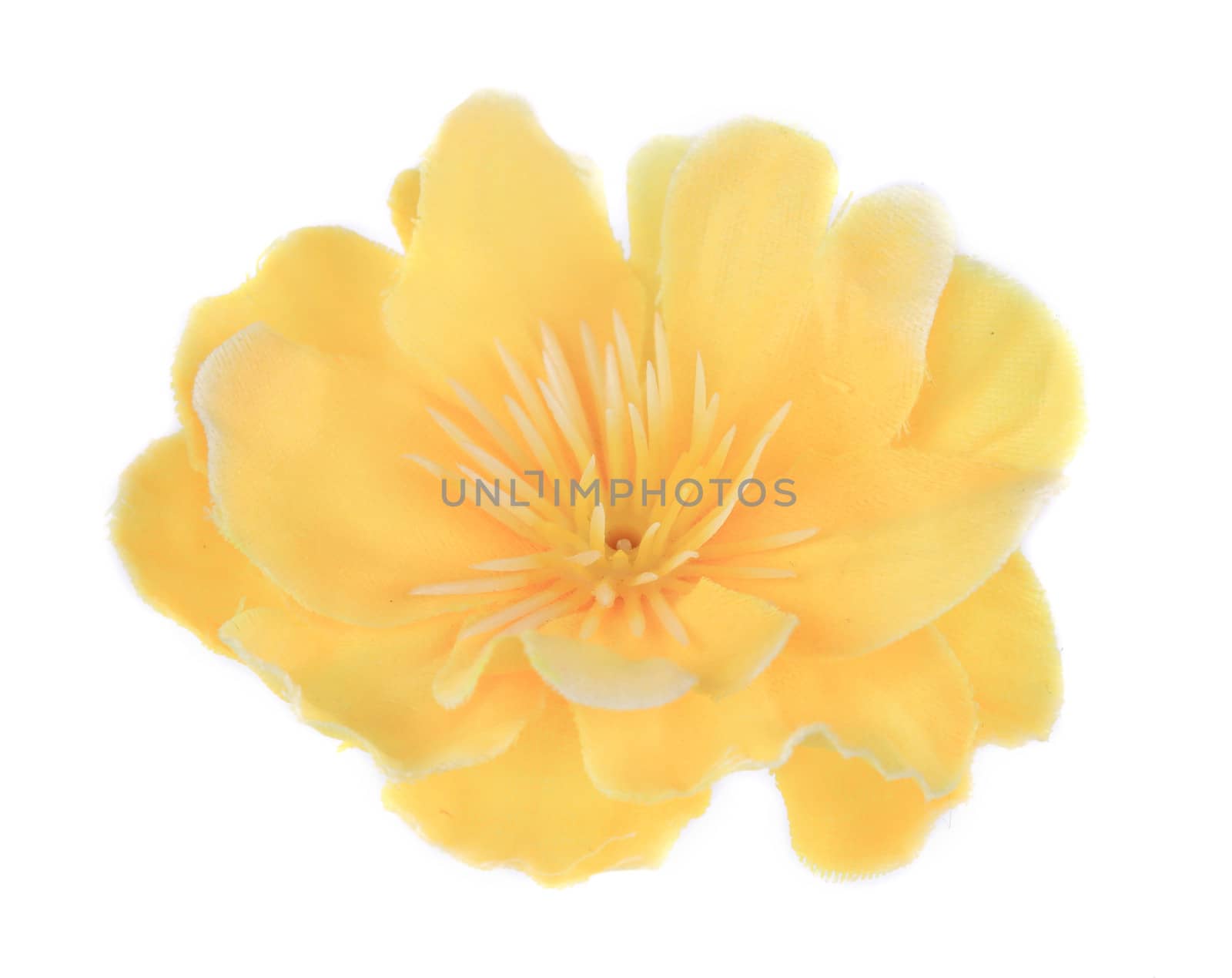 Yellow artificial flowers. Isolated on a white background.