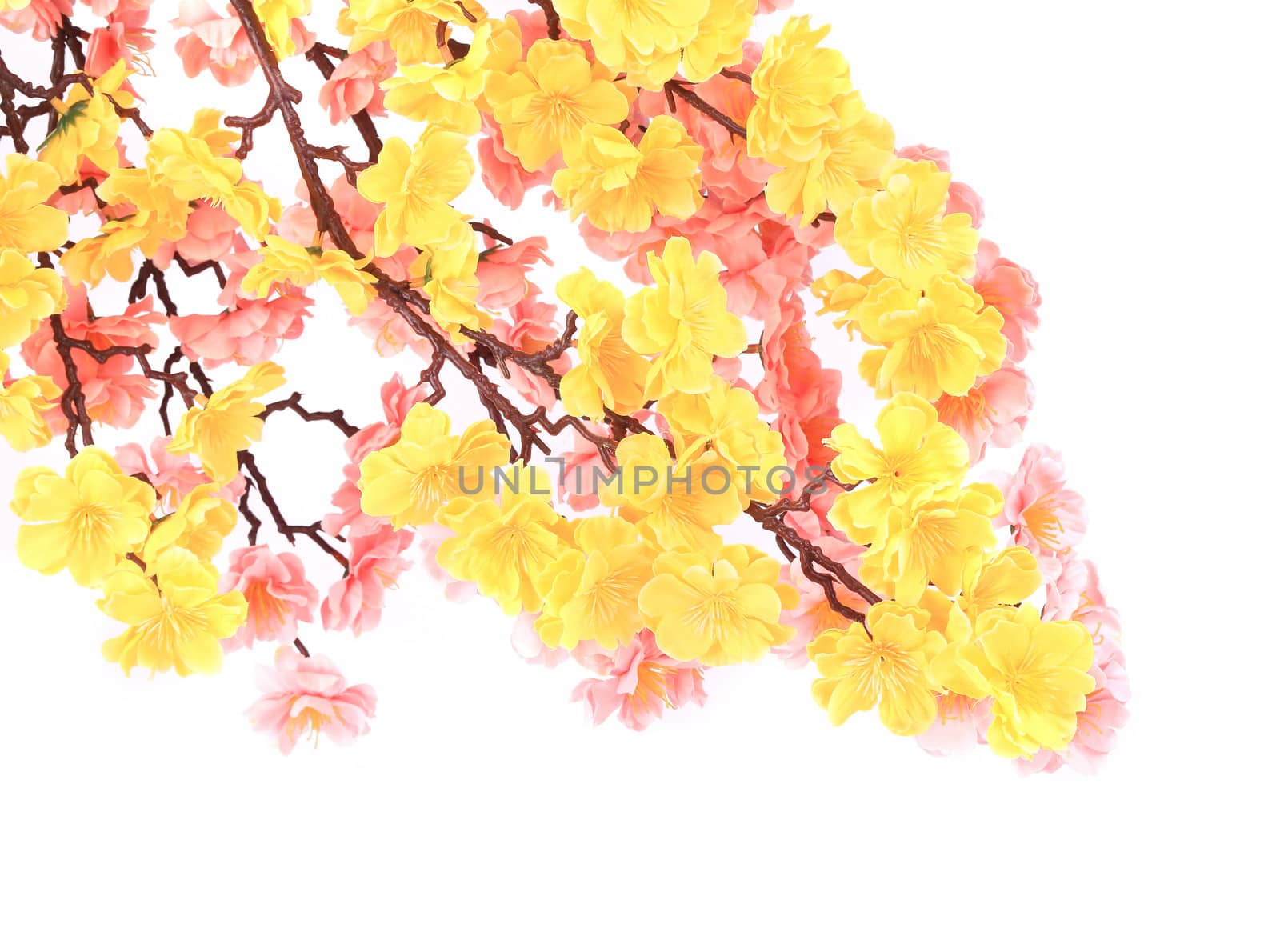 Artificial branch with yellow and pink flowers. On a white background.