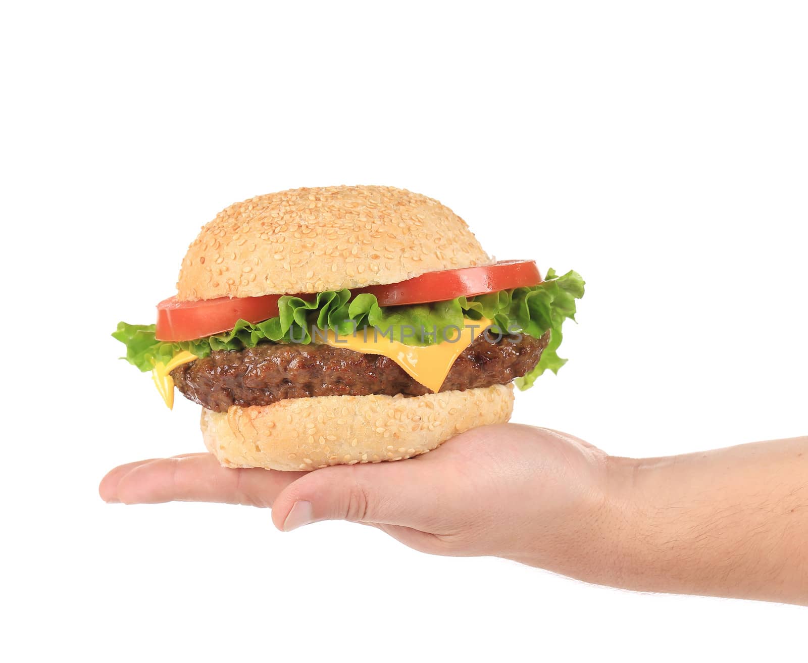Big cheeseburger. Isolated on a white background.