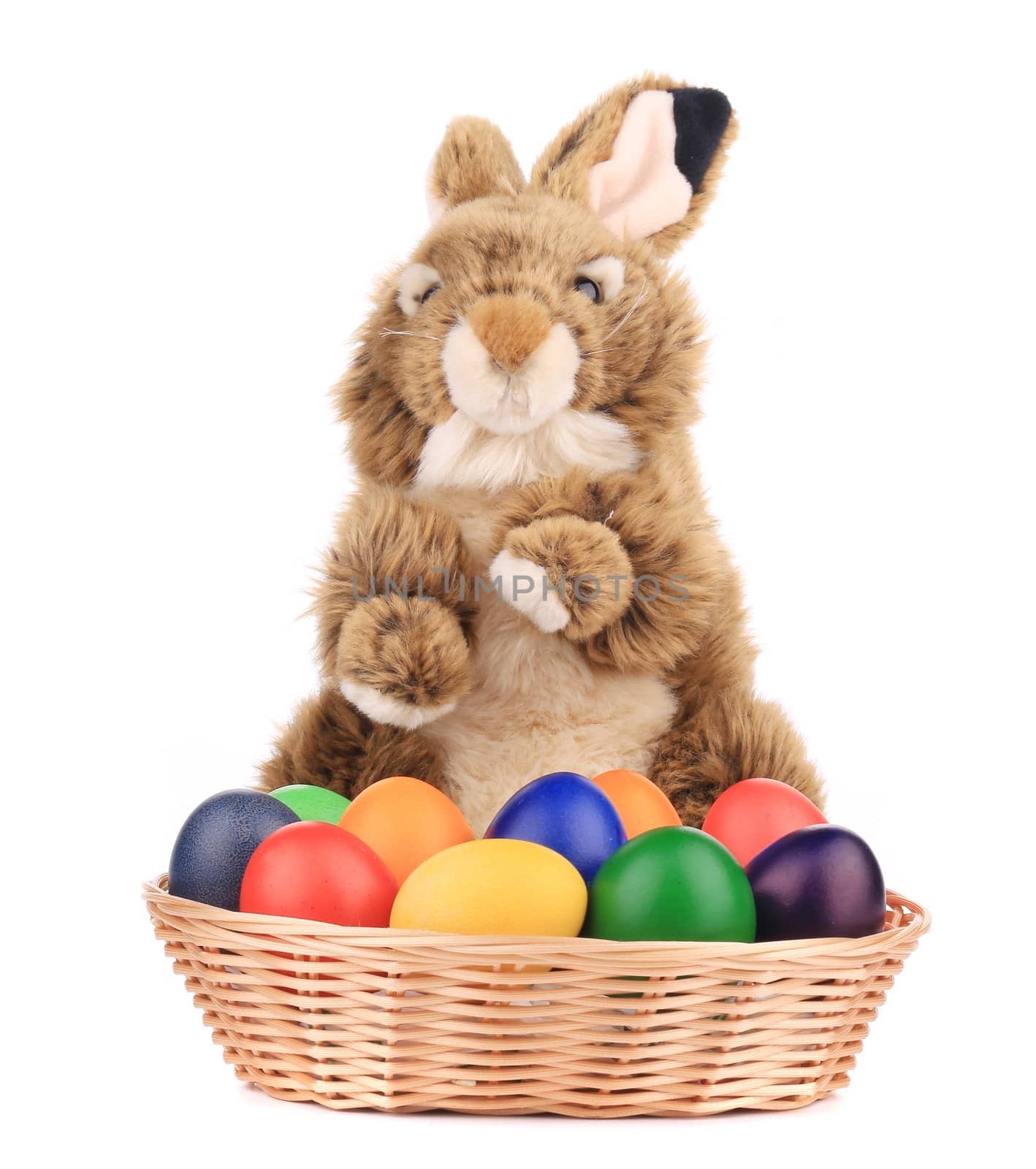 Fluffy foxy rabbit in basket with Easter eggs. Isolated on a white background.