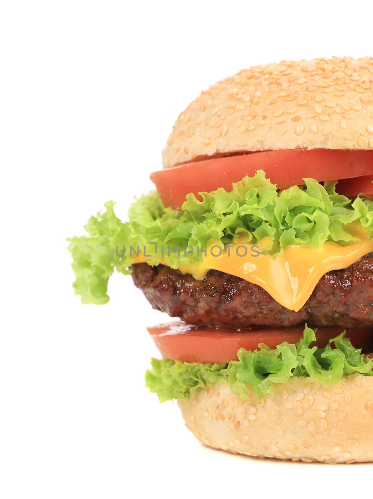 Big cheeseburger. Isolated on a white background.