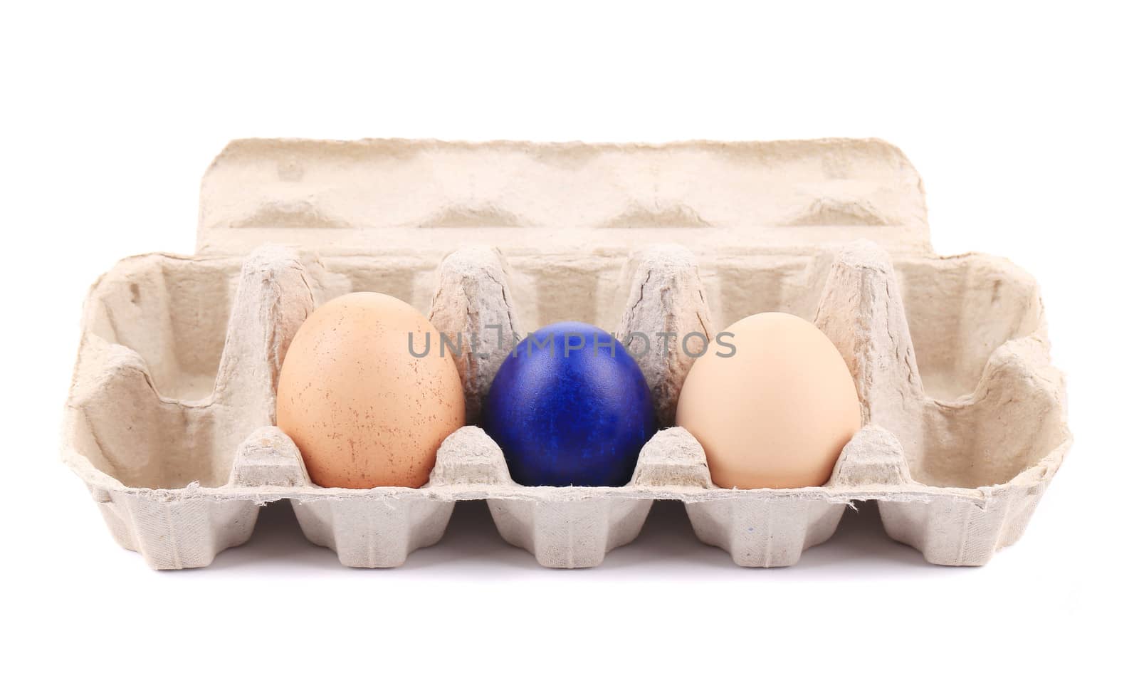 Cardboard egg box with one dark blue easter and market eggs. isolated on a white background