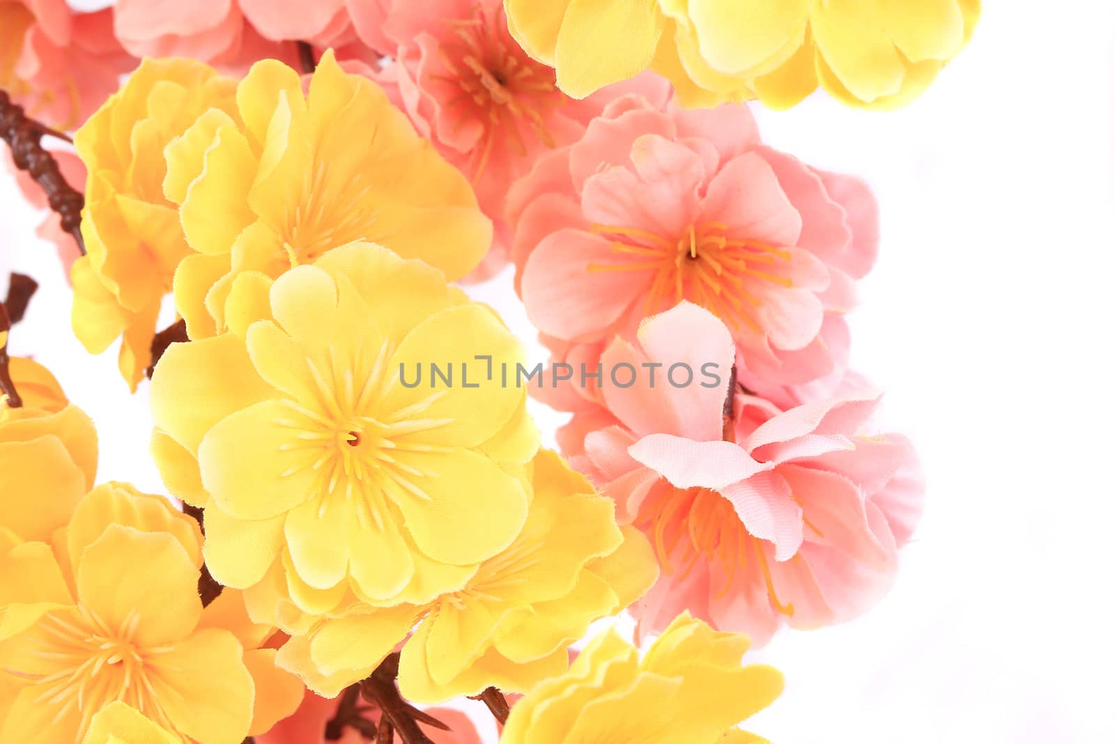 Artificial flowers closeup. Isolated on a white background.