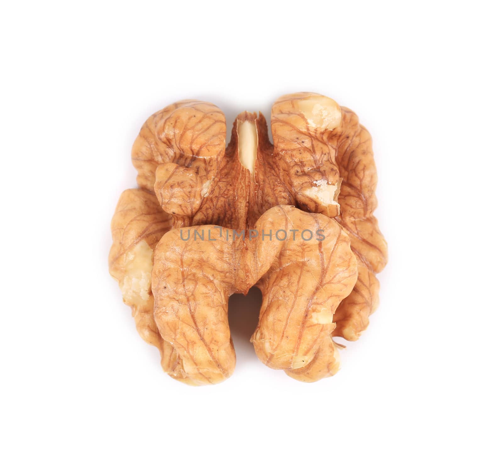 Walnut half. Isolated on a white background.
