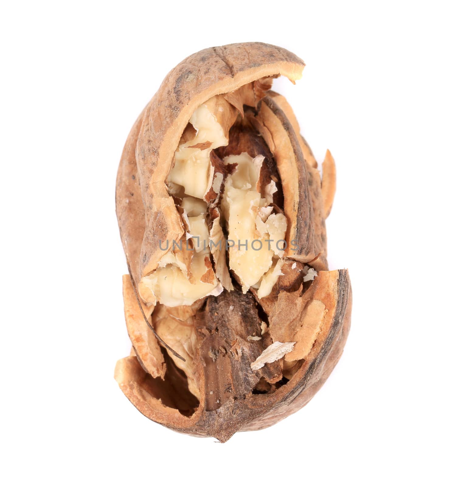 Cracked walnut. Isolated on a white background.