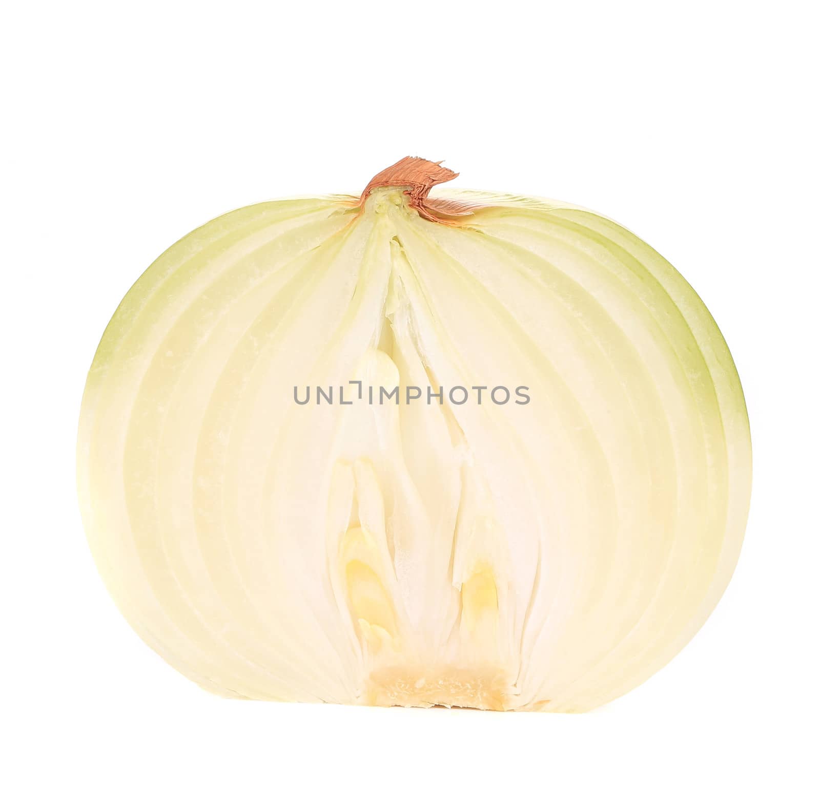 Fresh sliced onion. Isolated on a white background.