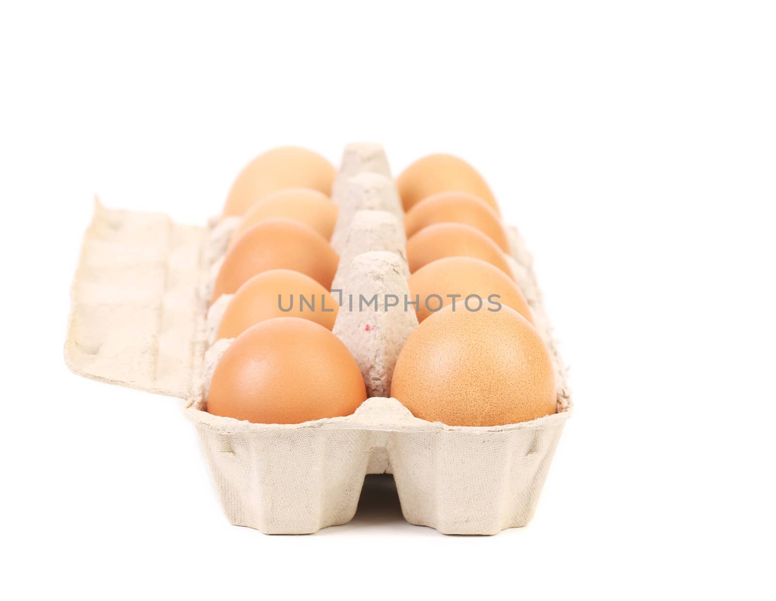 Eggs in protective case foreground. isolated on a white background