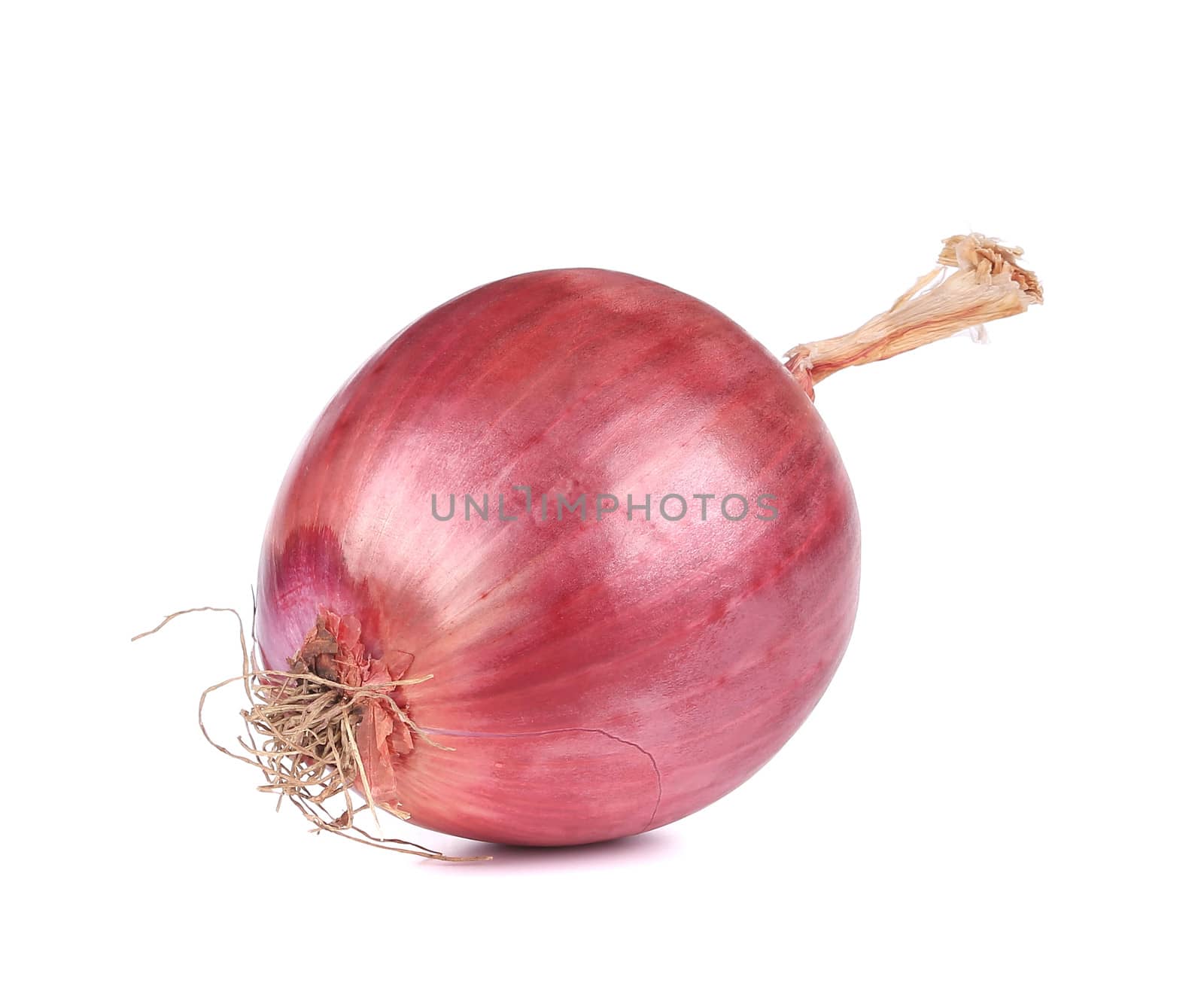 close up of red onion. isolated on a white background