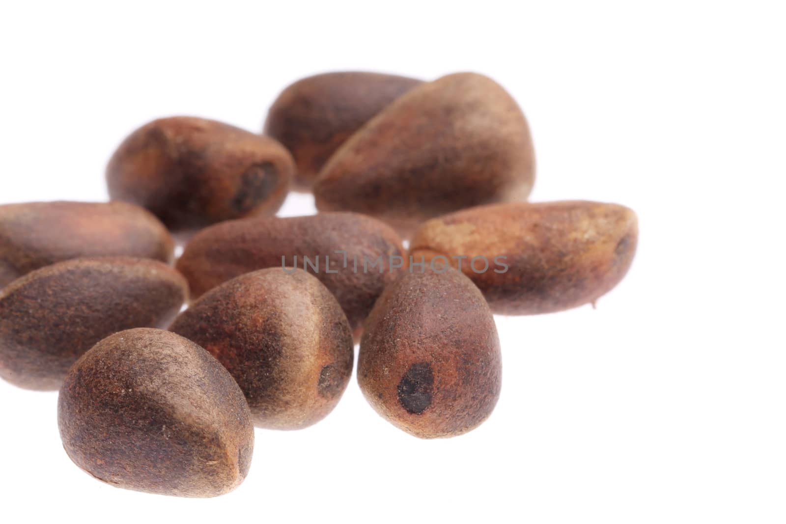 Pine nuts isolated on white. Isolated on a white background.