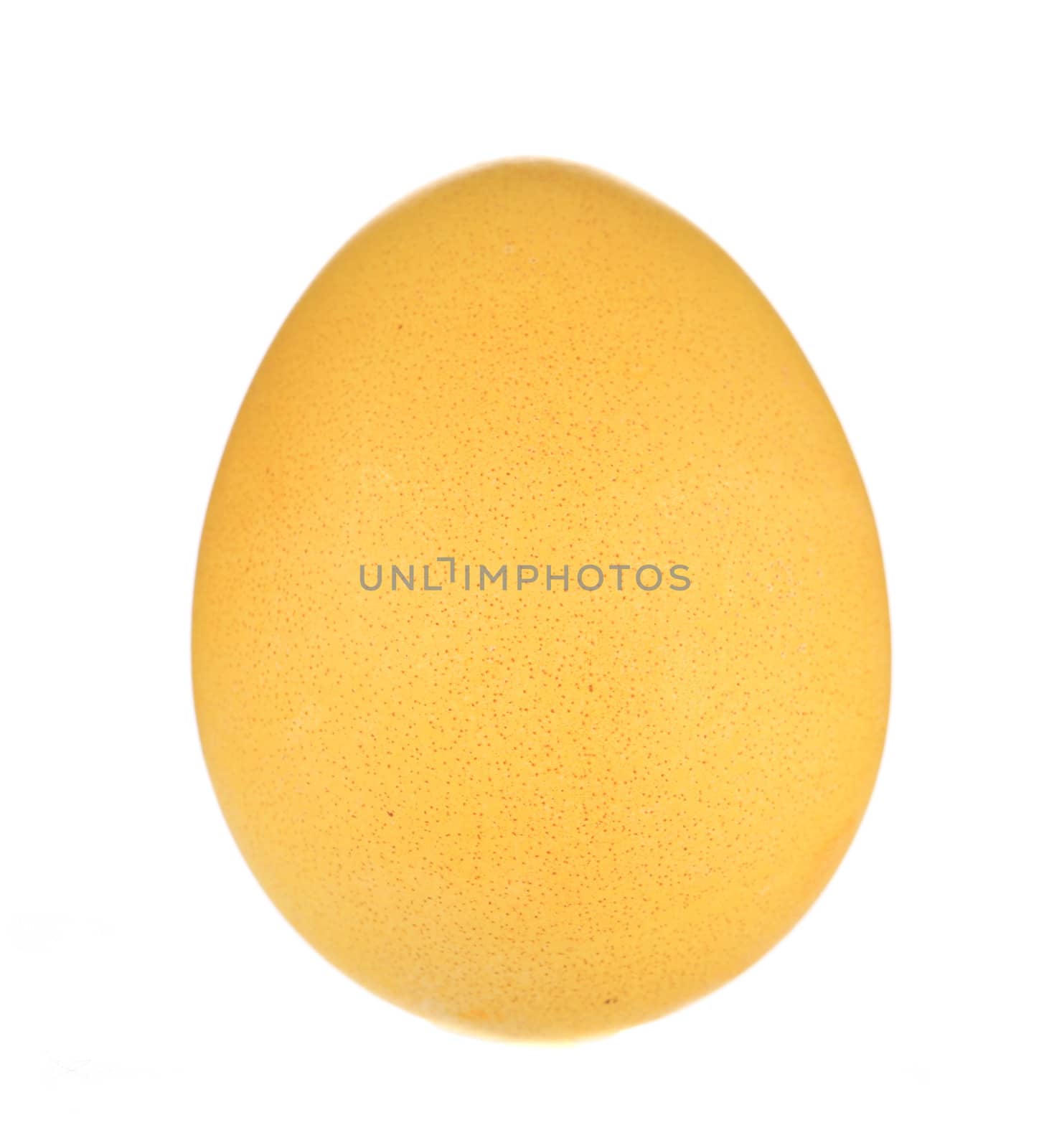 yellow easter egg. isolated on white with background