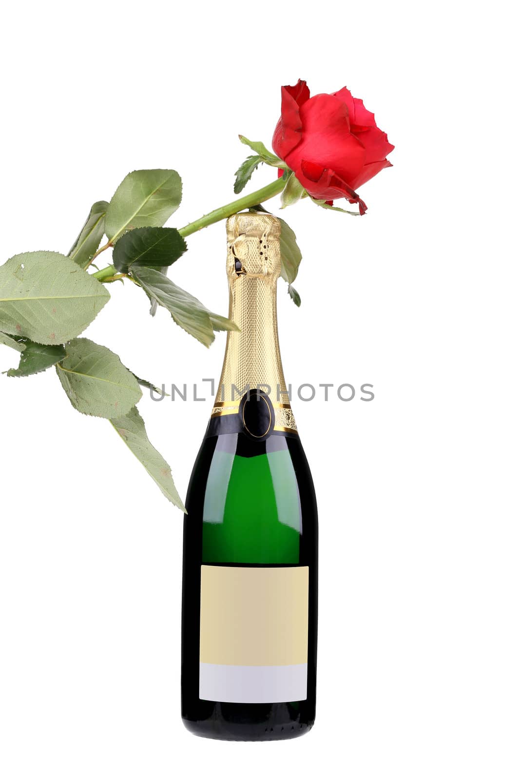 Champagne bottle and red rose. Isolated on a white background.