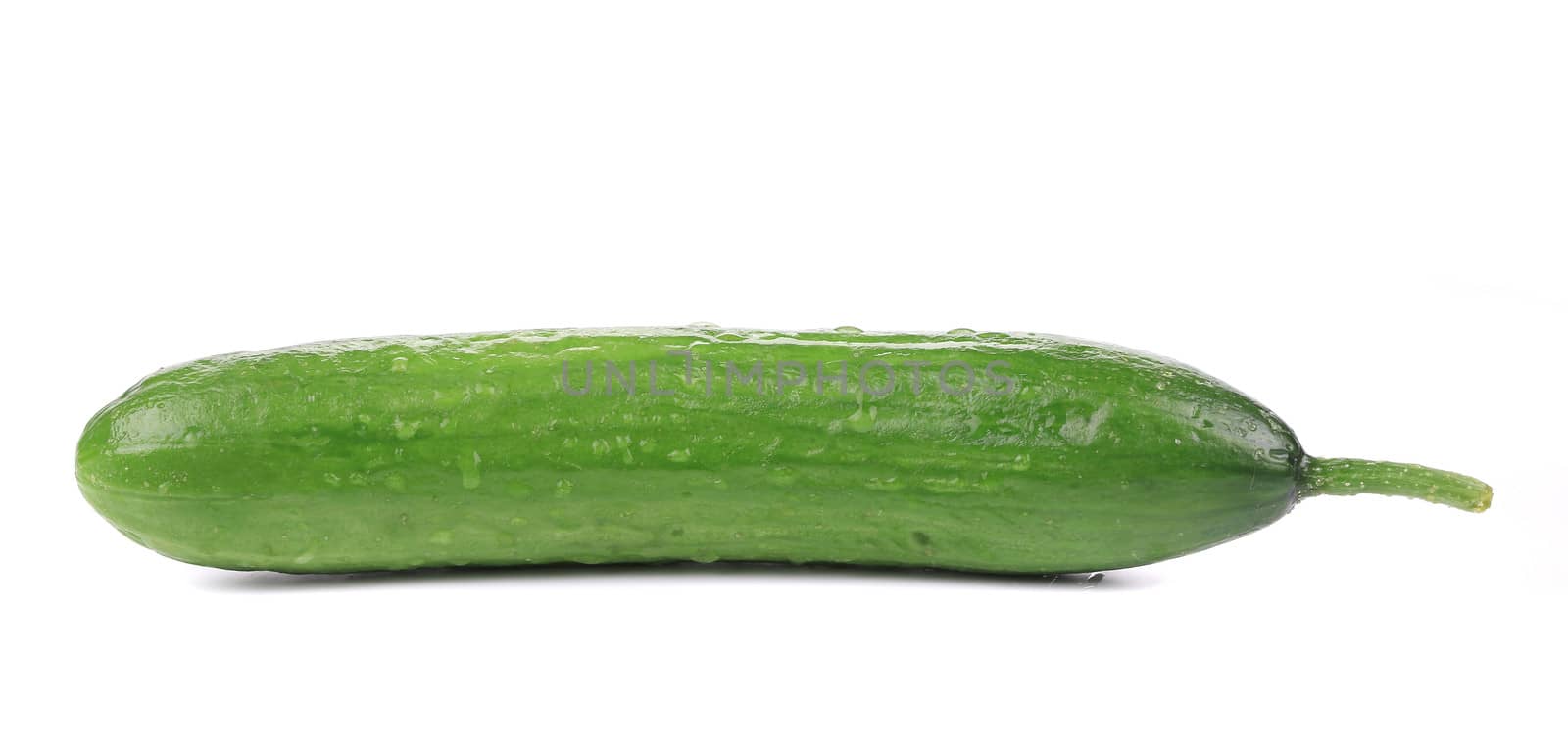 Fresh cucumber. by indigolotos