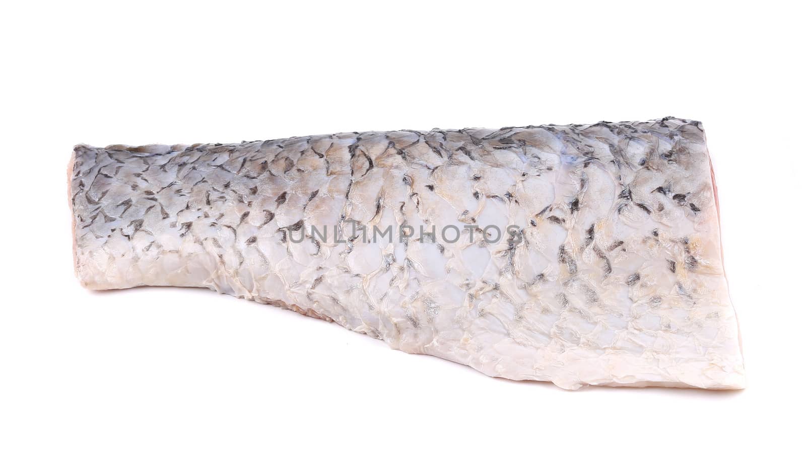 Fresh half mirror carp fillet. Isolated on a white background.
