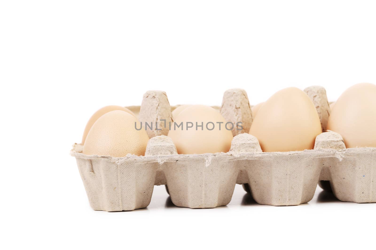 close up of eggs in a blue carton box. isolated on a white background