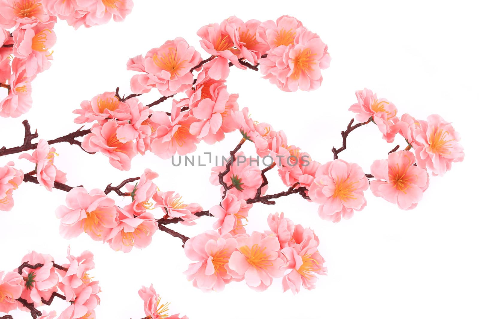 Artificial flowers. Isolated on a white background.