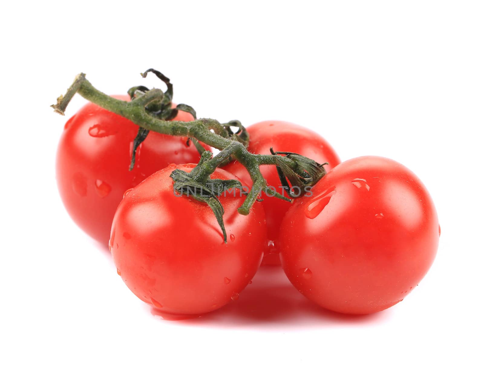 Fresh Cherry Tomatoes on Branch. Isolated on a white background.