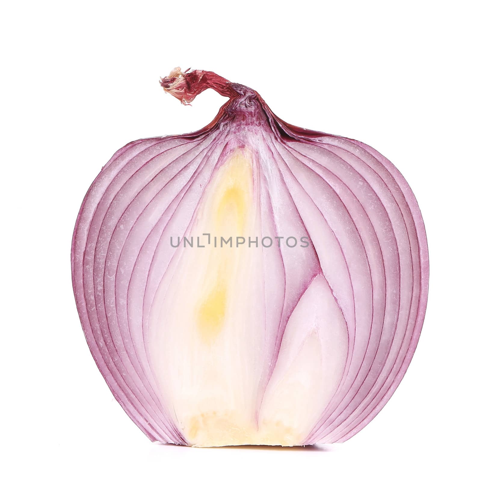 close up of cut red onion. isolated on white background with shadow