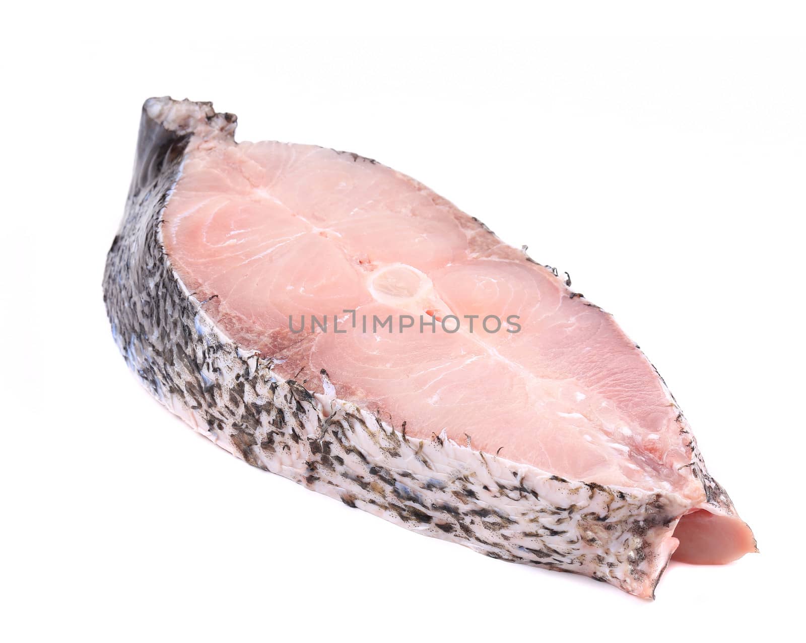 Fresh carp steak. Isolated on a white background.