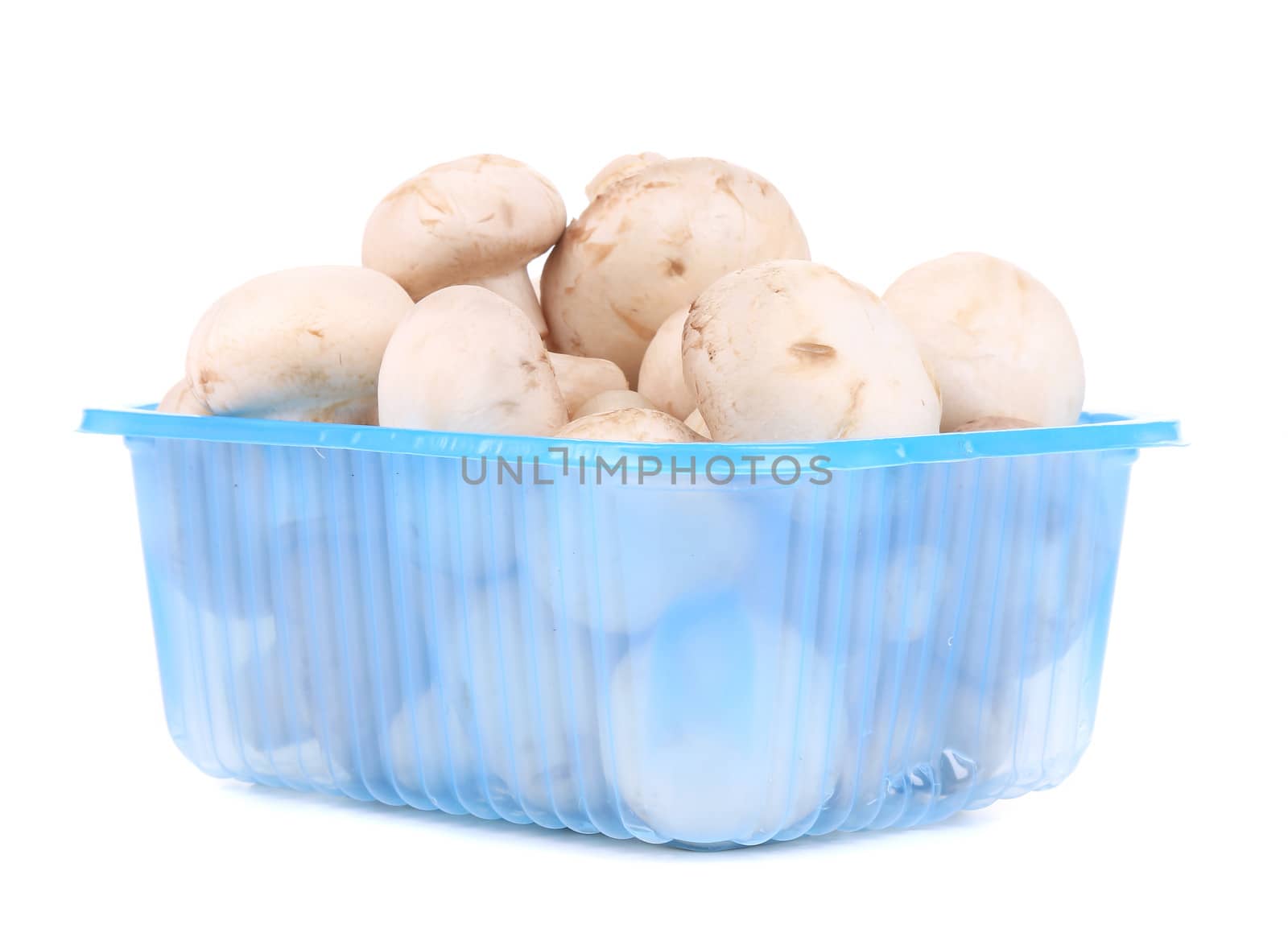White mushroom in blue basket. Isolated on a white background.