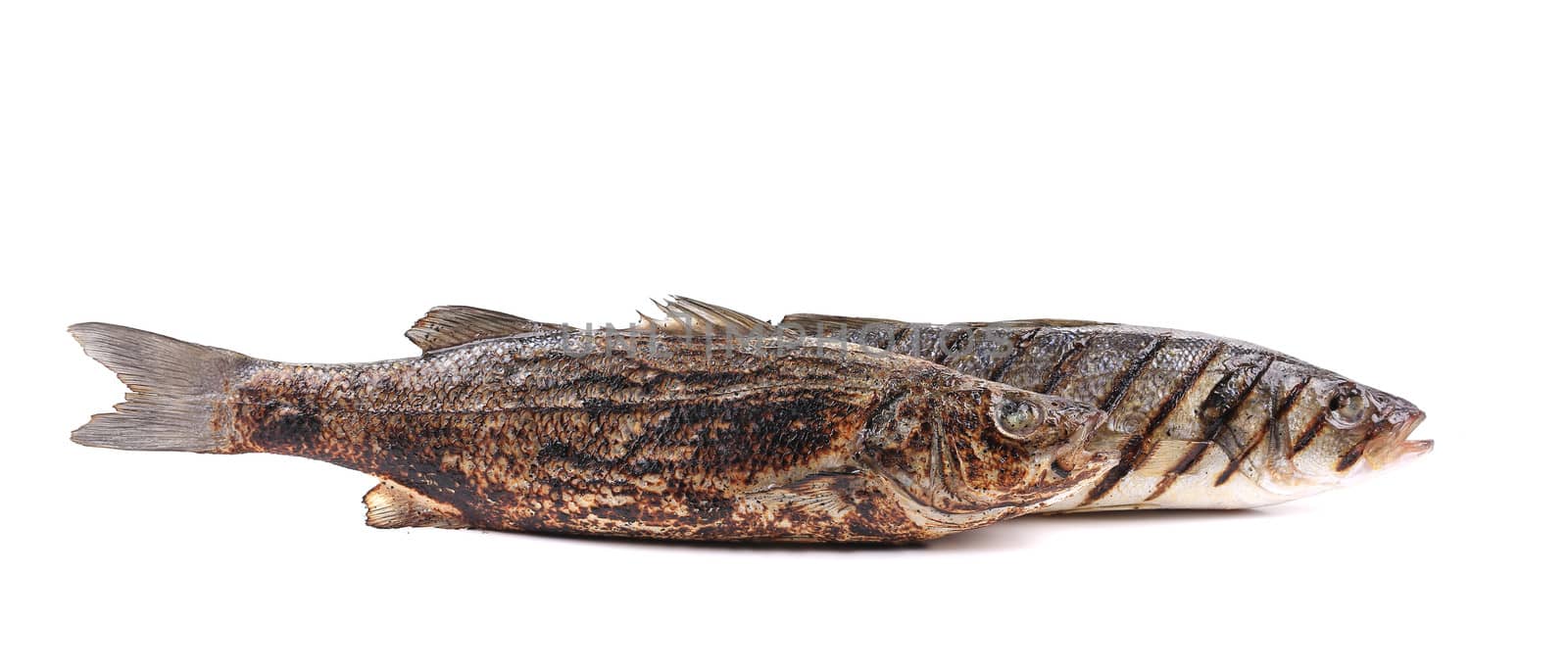Grilled fish. Isolated on a white background.