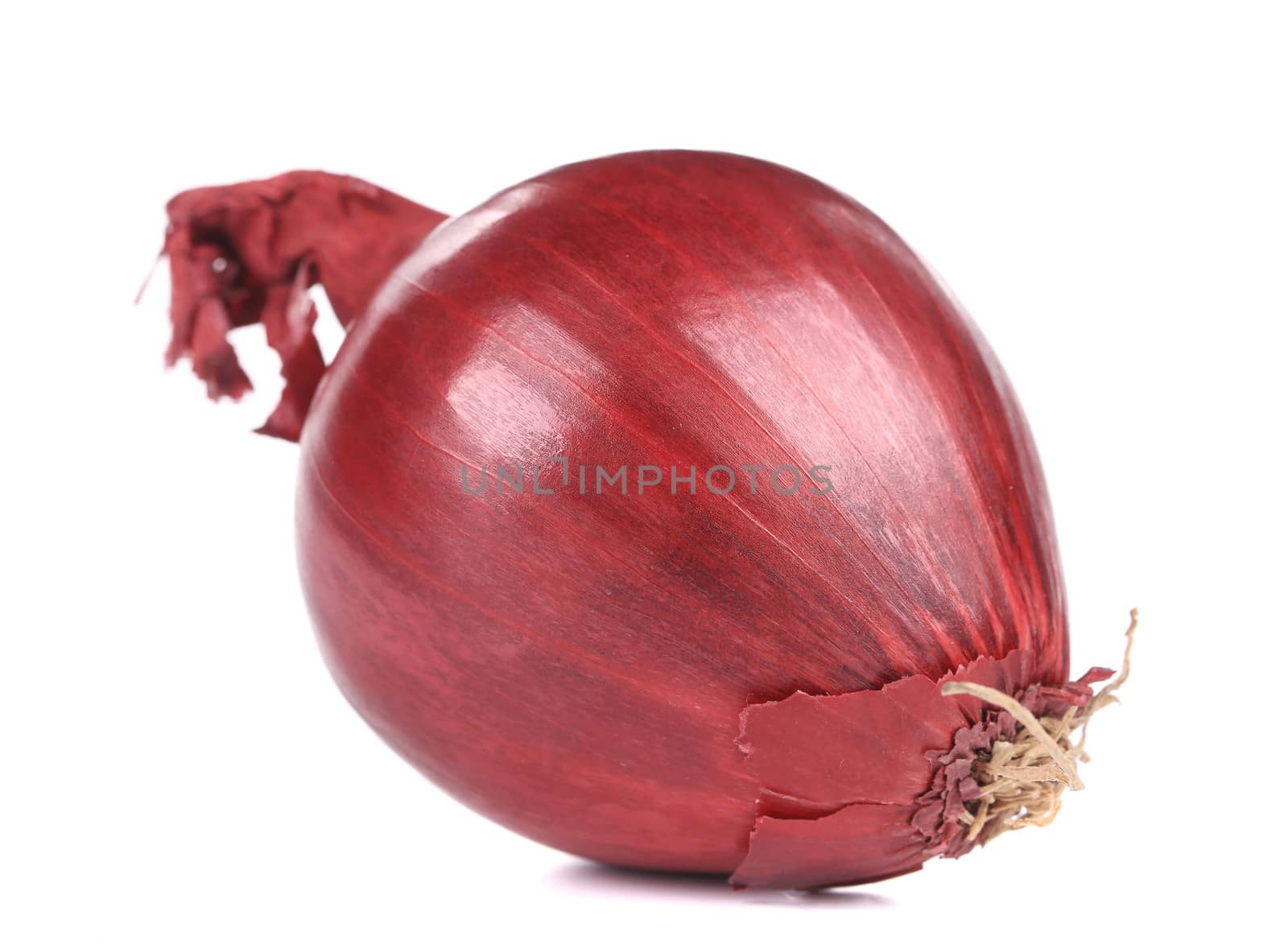 Red onion. Isolated on a white background.