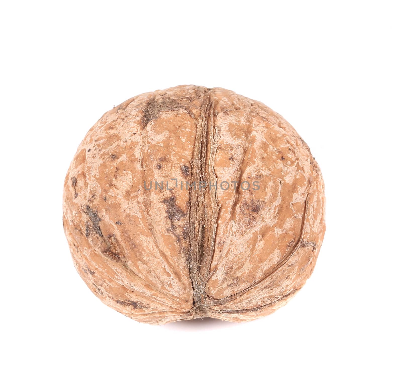 Whole walnut. Isolated on a white background.