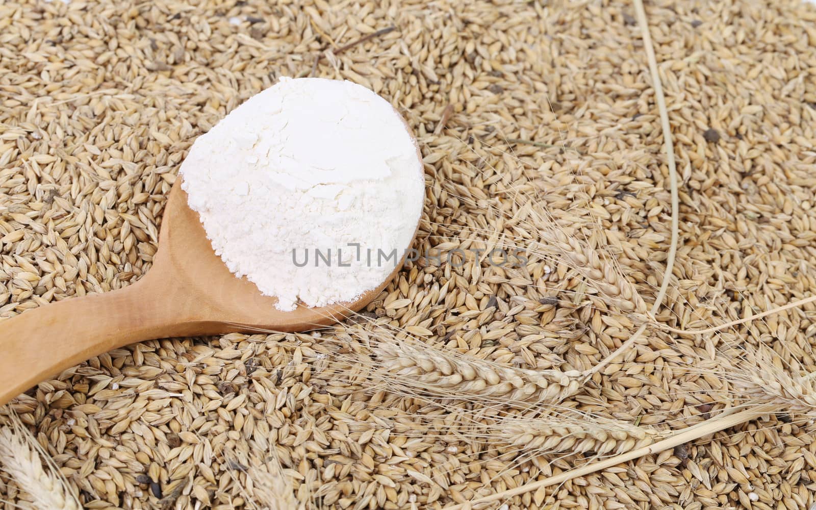 Spoon with flour on the wheat background.