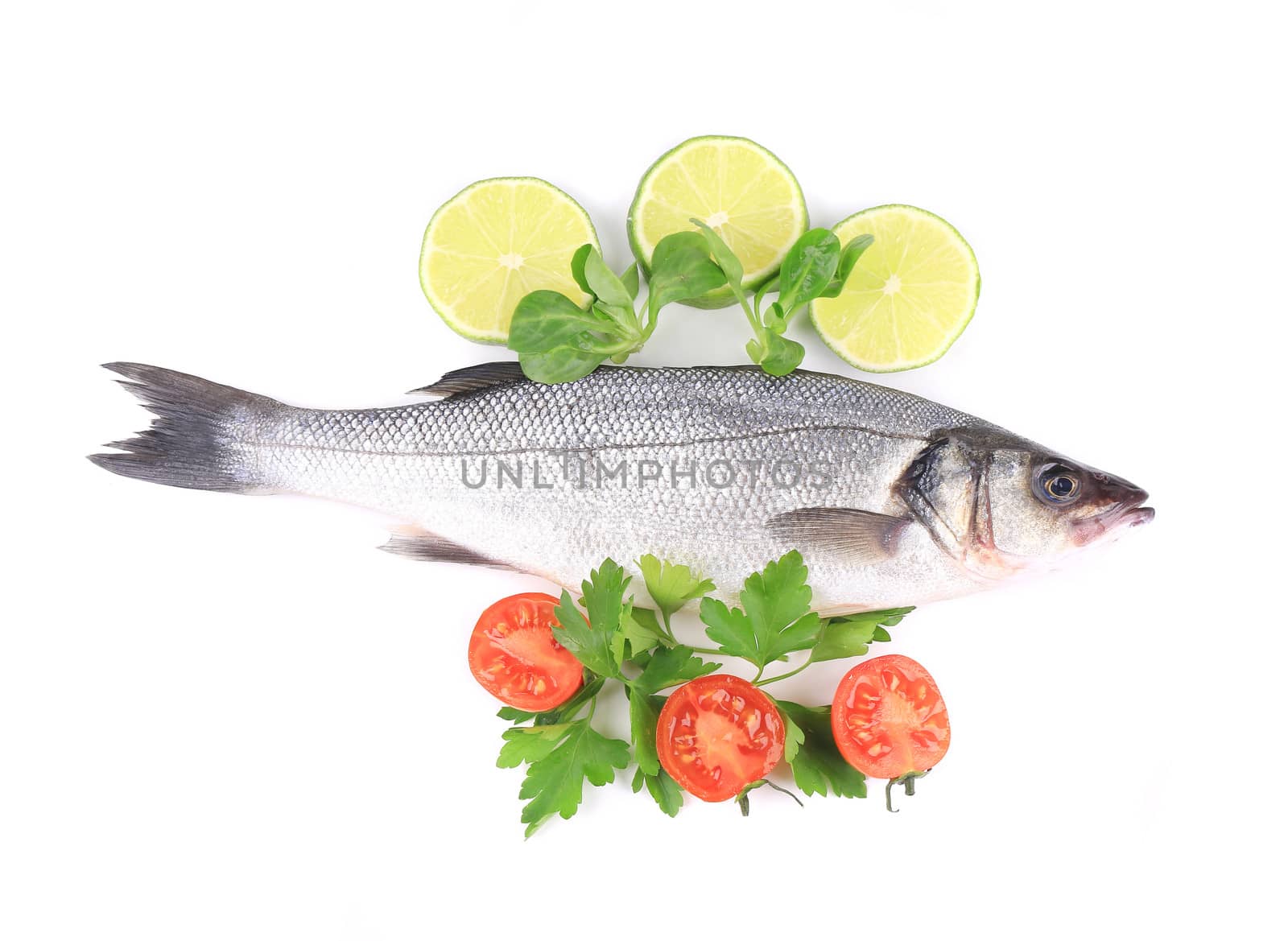 Fresh seabass with tomatoes and basil. Isolated on a white background.