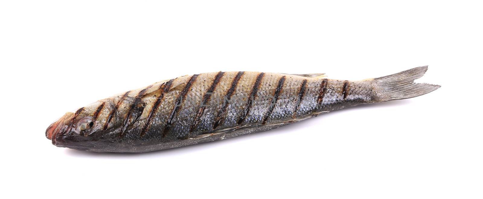 Grilled fish. Isolated on a white background.