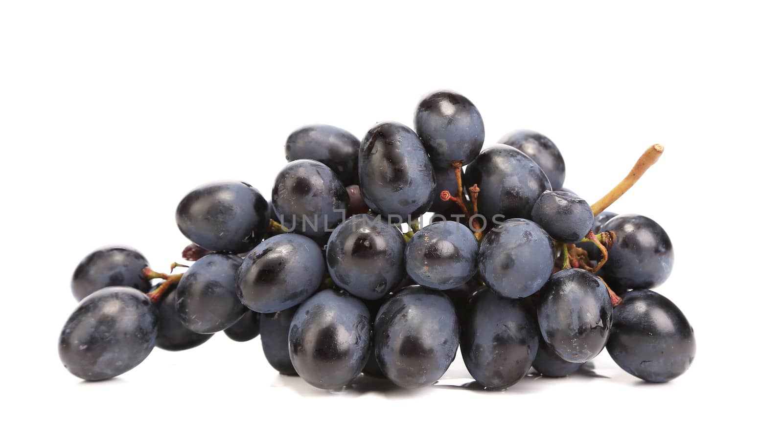 Fresh grapes brunch. Isolated on a white background.