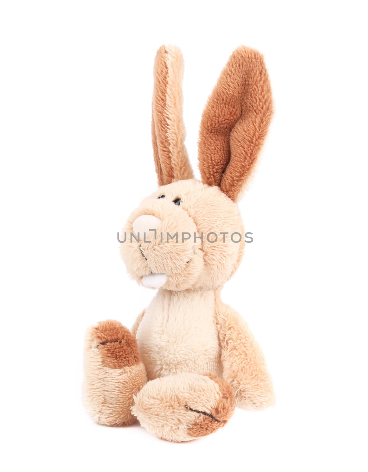 Adorable generic stuffed bunny. Isolated on a white background.