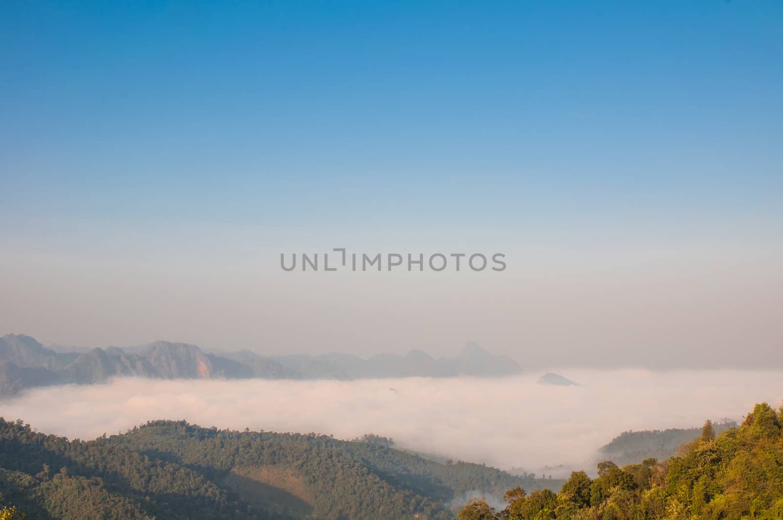 Early morning fog and cloud mountain valley landscape by Sorapop