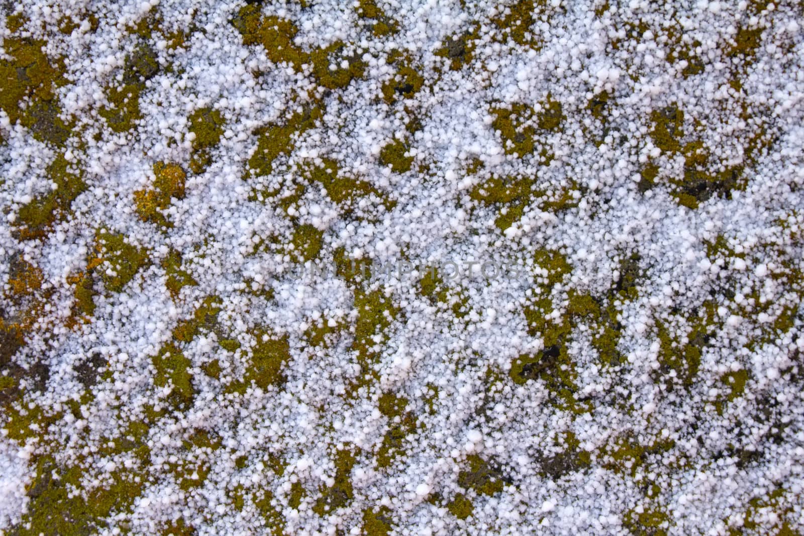 snow cover in the spring on a bright sun