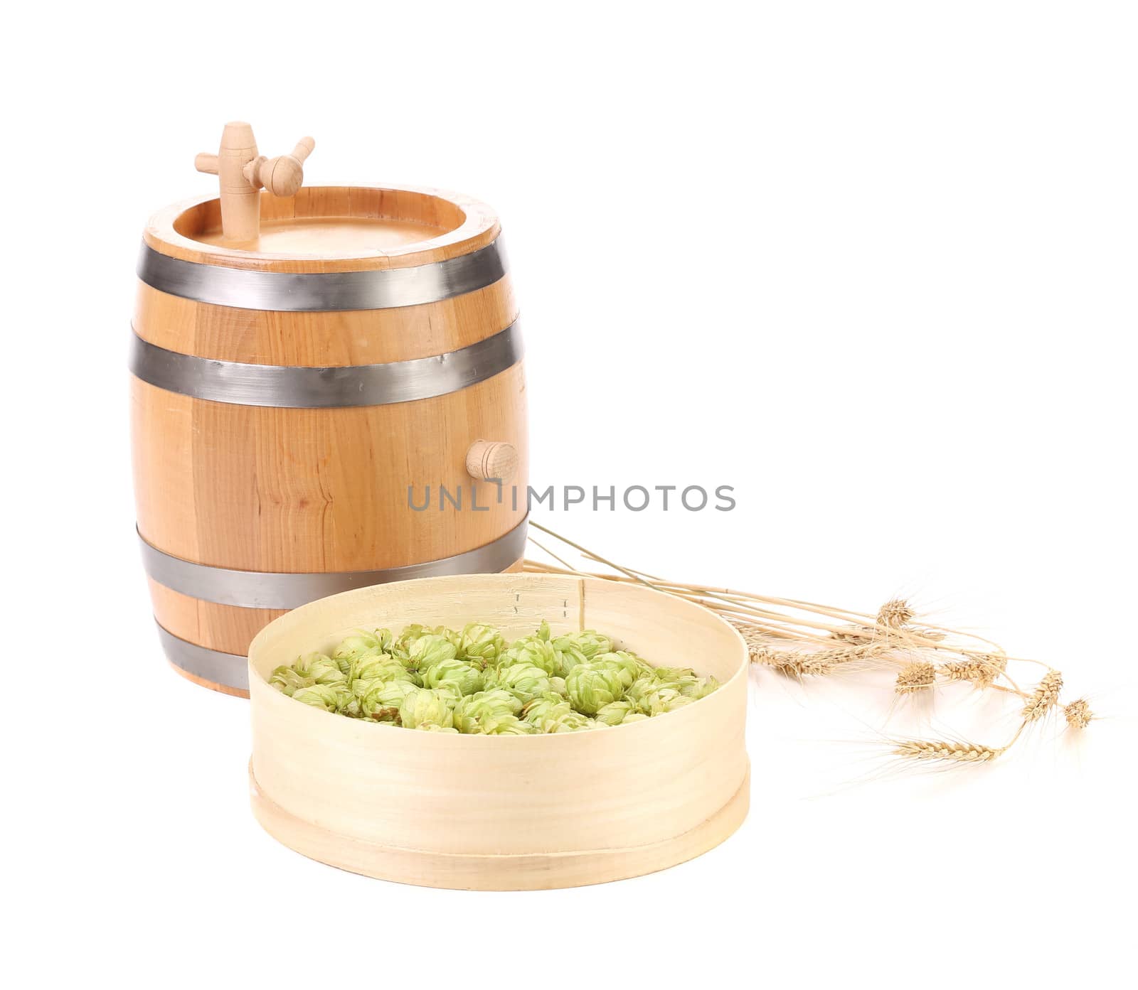 Wooden barrel and hops in basket. Isolated on a white background.
