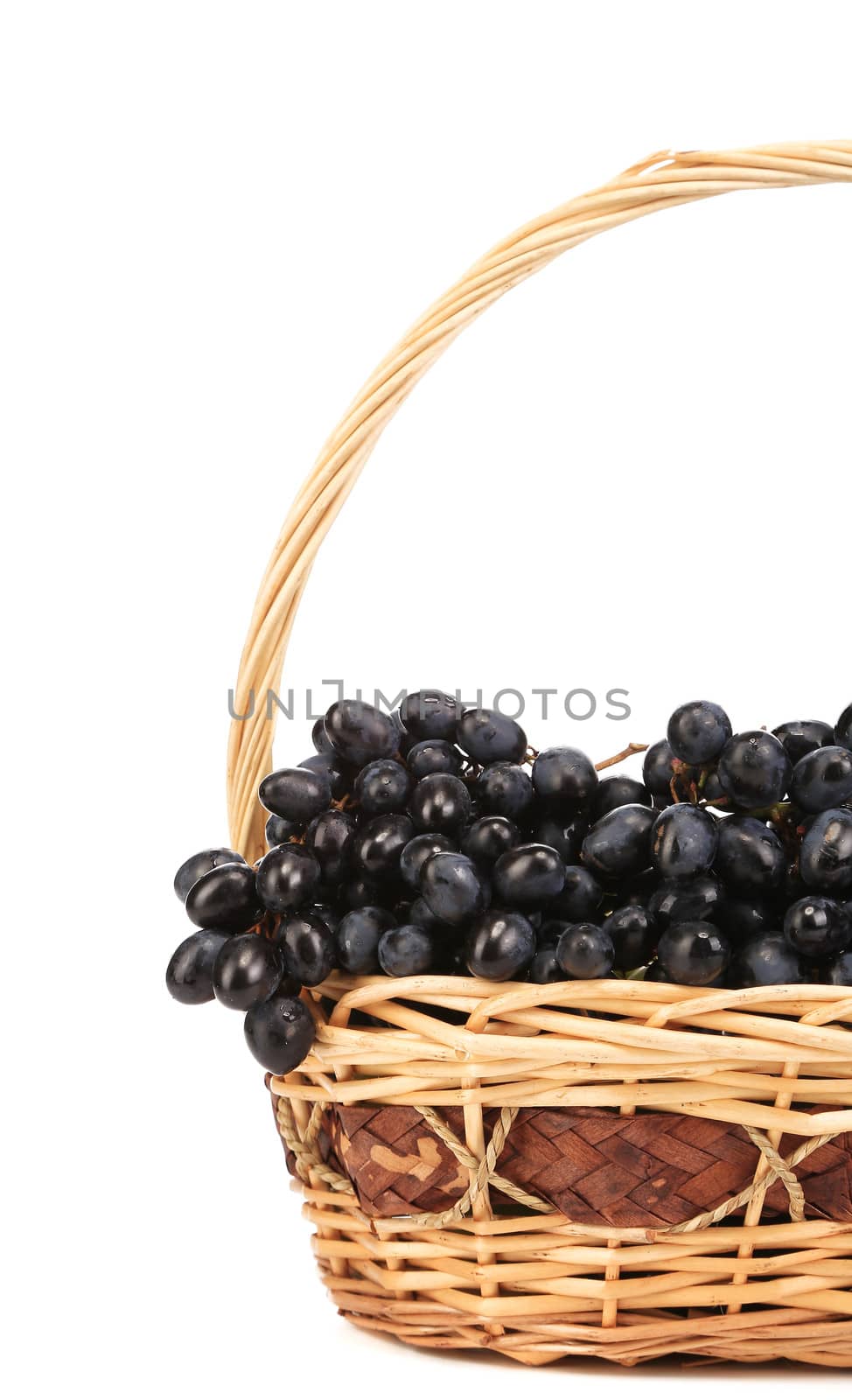 Dark grapes in a wicker basket. Isolated on a white background.