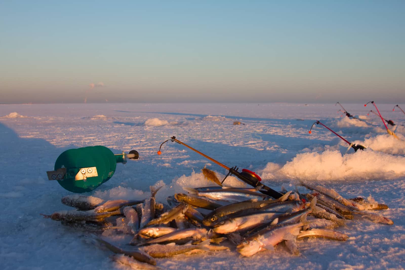 fishing on the Baltic Sea