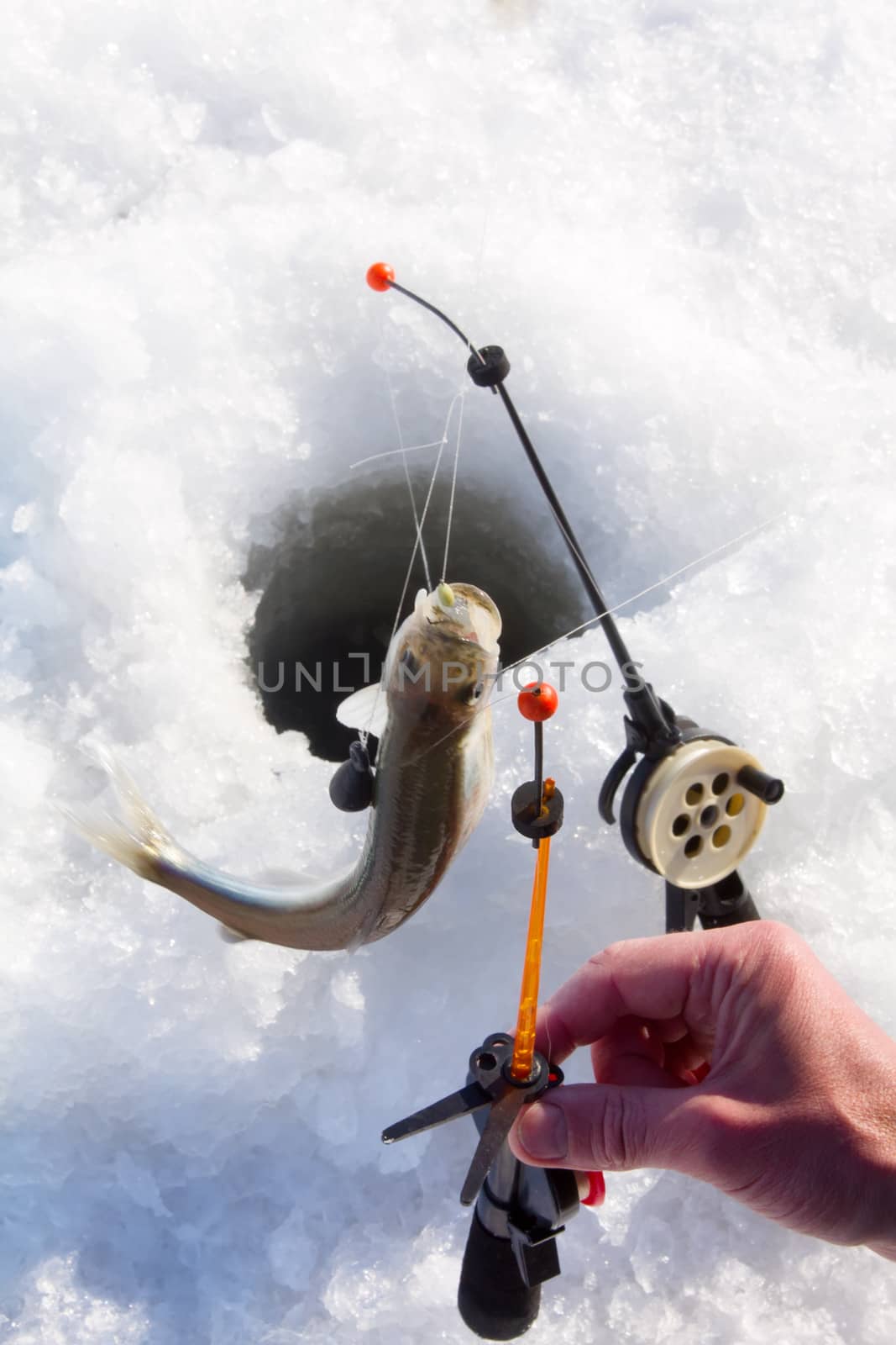 fishing on the Baltic Sea