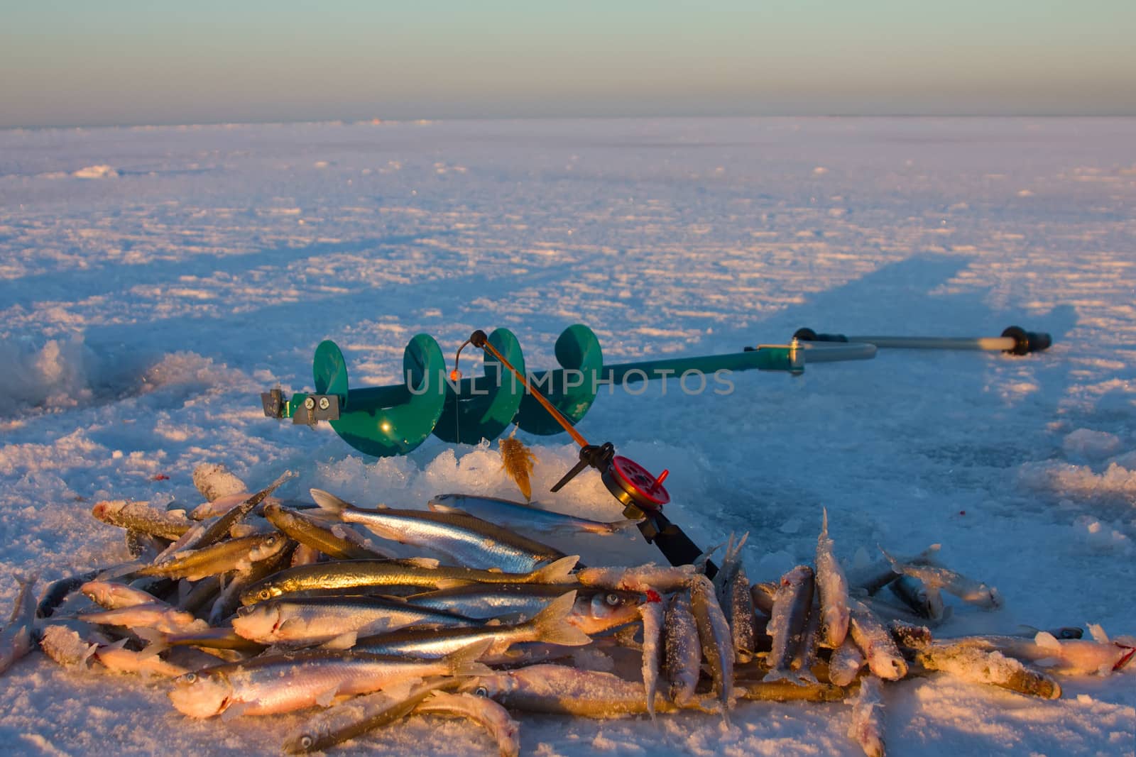 fishing on the Baltic Sea