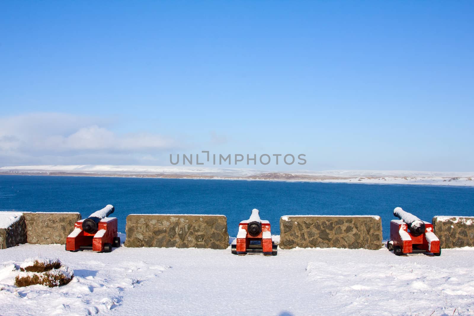 cannons from the ship  of Vitus Bering