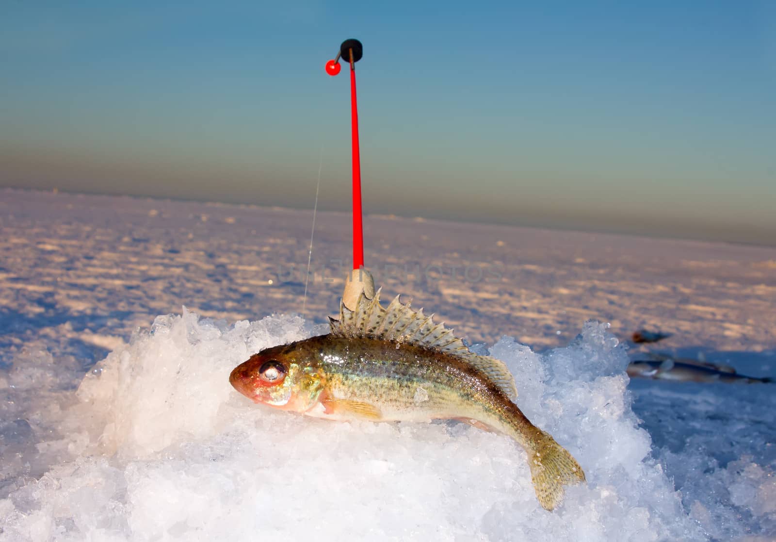 Winter fishing: closeup of ice hole, fishing rod and ruff