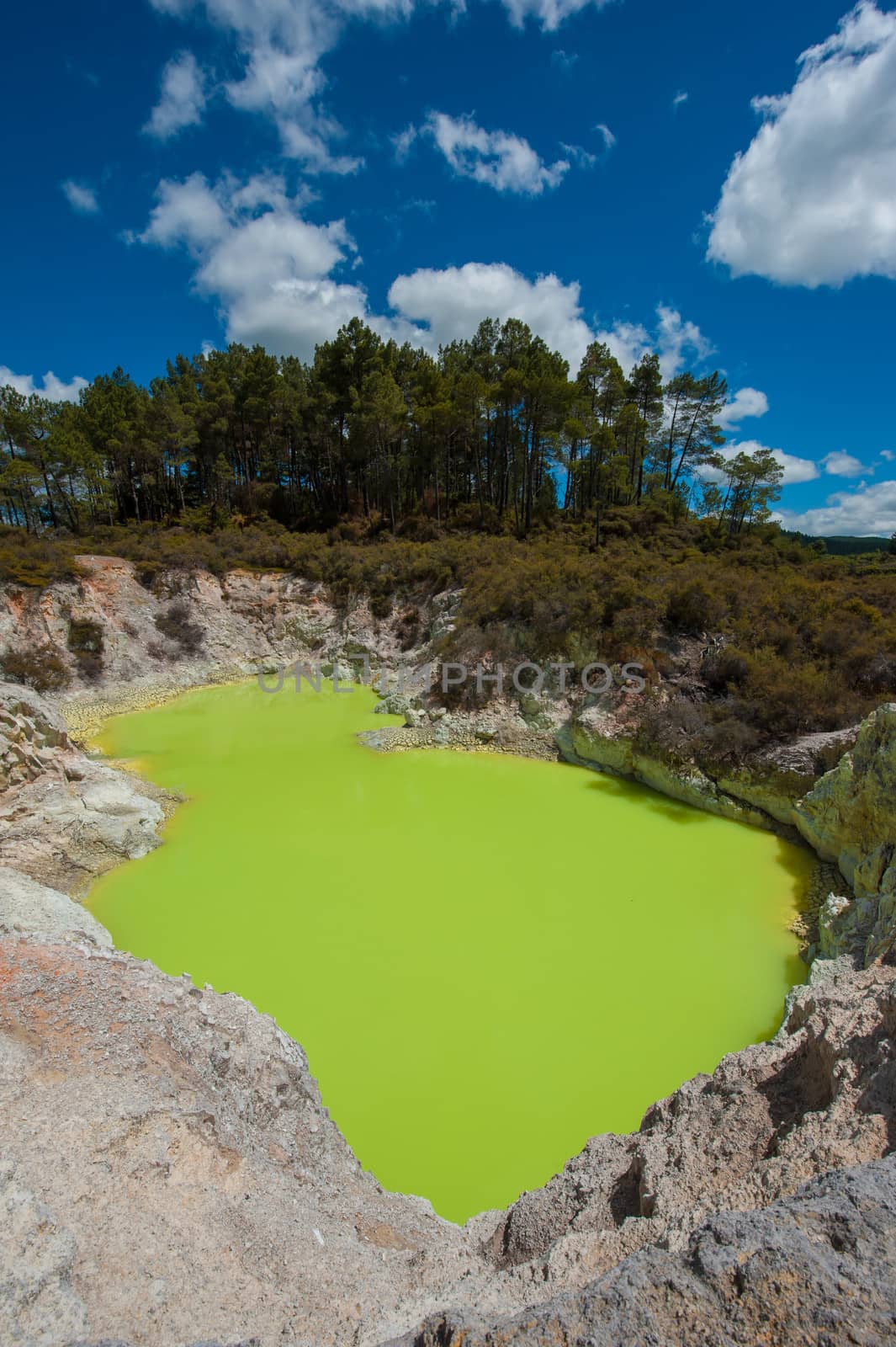 Incredibly green and highly toxic Devil's Bath crater lake at Wai-O-Tapu geothermal area, New Zealand